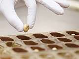 Chocolaterie Puyricard_L'Isle-sur-la-Sorgue