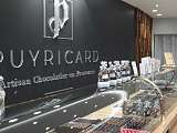 Puyricard logo mural image.jpg