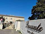 Cigales antiques - Brocante_L'Isle-sur-la-Sorgue