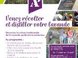 affiche ATELIER LAVANDIER 25.jpg