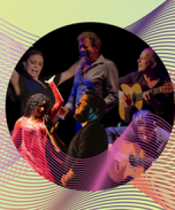 Noche de Arte Flamenco - DE