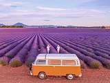 Combi Van dans les champs de lavande du Luberon