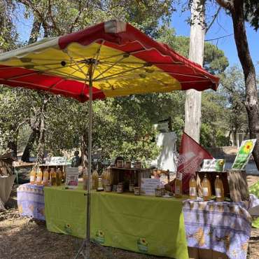 Terroirs en fête - DE