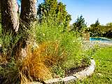 Buisson devant piscine