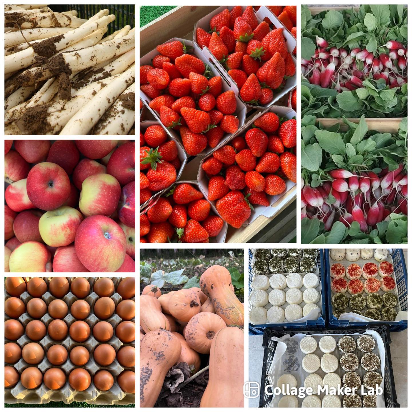 Produkte, die bei Les Vergers de Bonpas verkauft werden, Erdbeeren, Kürbis 