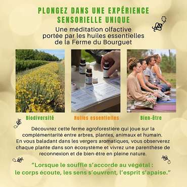 Expérience sensorielle à la Ferme du Bourguet - DE