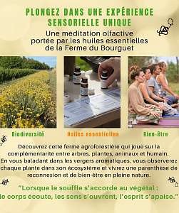 Expérience sensorielle à la Ferme du Bourguet - DE