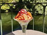 COUPE FRAICHEUR - GLACIER ARELATIS