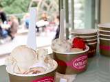 Glacier Arelatis_L'Isle-sur-la-Sorgue