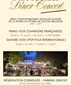 Dîner Concert Duo Guitare Voix - DE