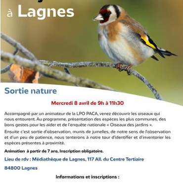 Les oiseaux des jardins à Lagnes - DE