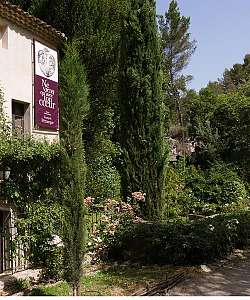 Exposition Mémoire de feuilles - DE