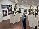 Galerie PromenArts