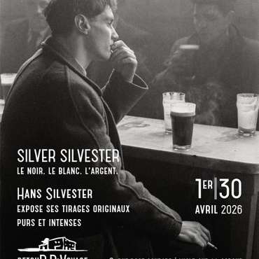 Exposition Silver Silvester - DE