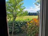 Camping Fontisson_Châteauneuf-de-Gadagne