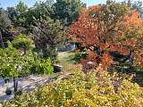 Le parc à l'automne