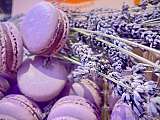 Macarons Lavande