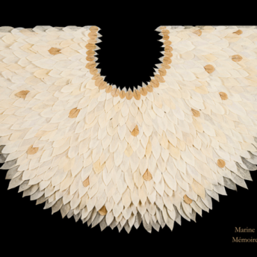 Visite guidée flash exposition 