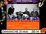 Affiche 31 Mai Belvédère