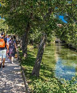 Balade en bord de Sorgue - DE