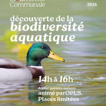 Découverte de la biodiversité aquatique - DE