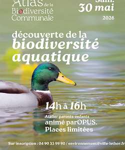 Découverte de la biodiversité aquatique - DE