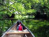 Club de canoë-kayak du Thor_Le Thor