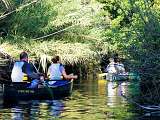 Club de canoë-kayak du Thor_Le Thor