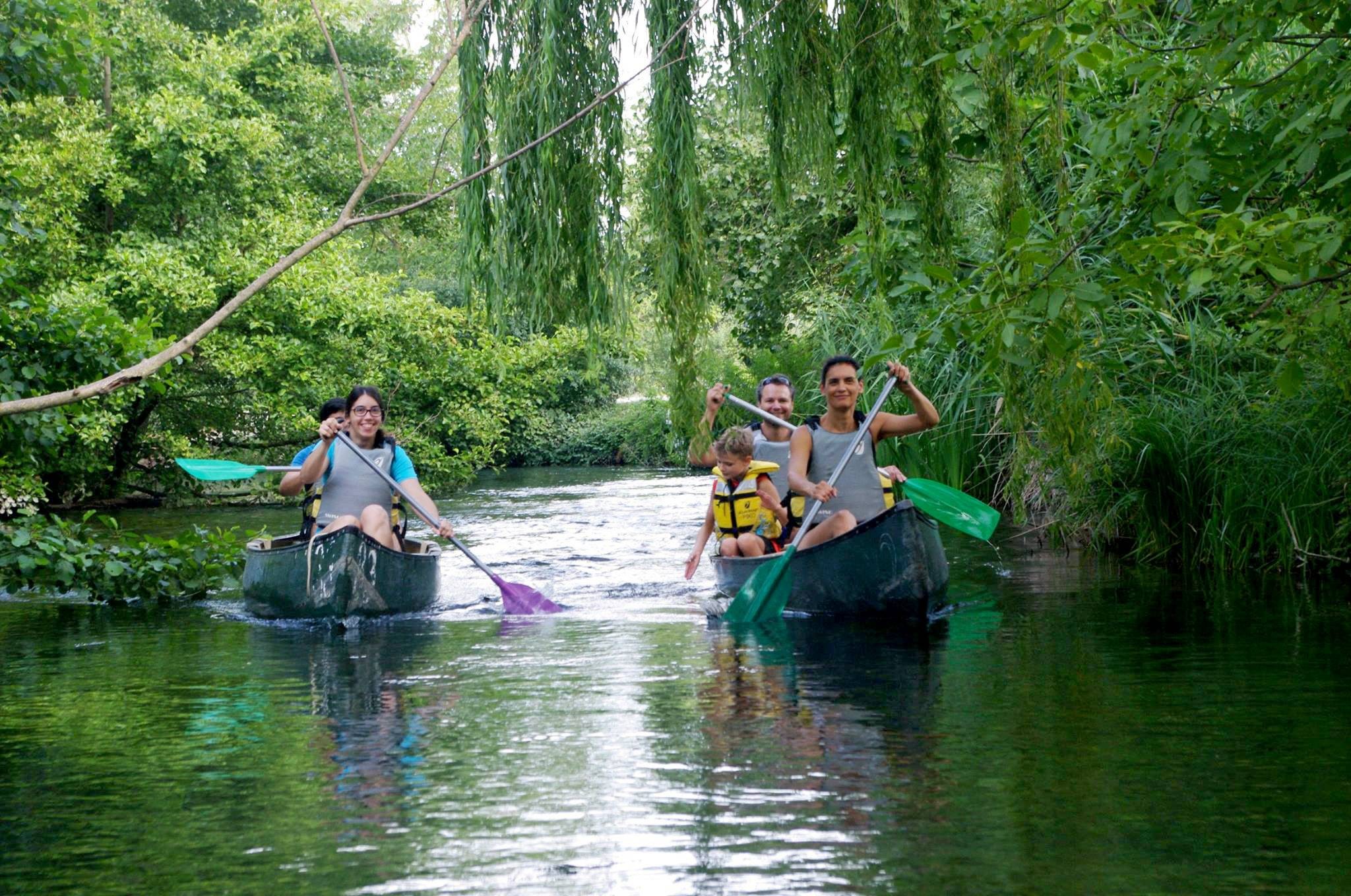 Familie und Freunde genießen eine Kanufahrt mit dem Thor Canoe-Kayak Club im Herzen eines wilden Zweigs der Sorgue, umgeben von üppiger Vegetation.
