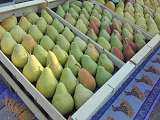Plateaux de Poires