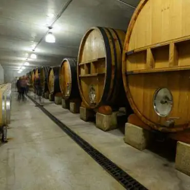 Clos du Calvaire - Weingut