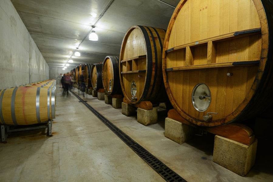 Innenansicht des Weinguts Clos du Calvaire mit seinen beeindruckenden, aufgereihten Holzfässern. Dieser Raum von