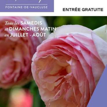 Les matinales de l'été au musée ! (Musée Pétrarque) - DE