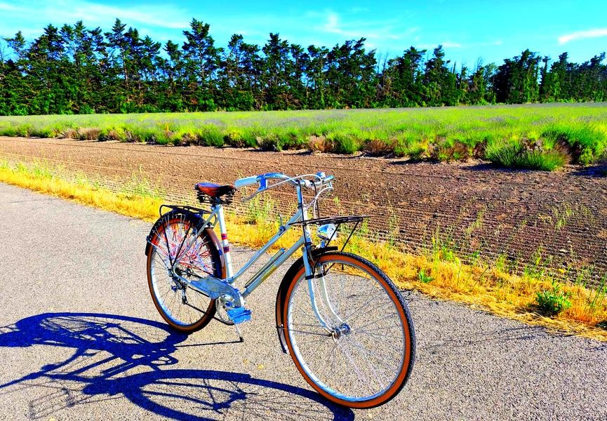 Ein antikes Fahrrad wird am Rand von angehalten