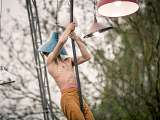 Un soir au Parc  : SPECTACLE « BRANLE-BAS DE COMBAT »_L'Isle-sur-la-Sorgue