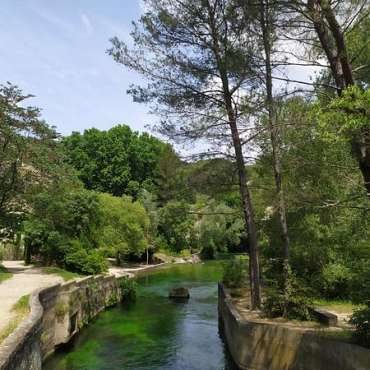 1ère Conférence du cycle : Pétrarque et la Sorgue par Donatella Punturo - DE
