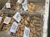 Biscuiterie de la Sorgue