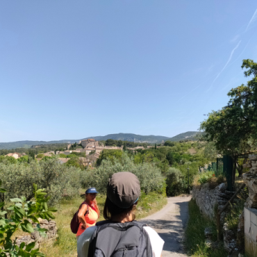 Balade commentée : à la rencontre des paysages vauclusiens - DE