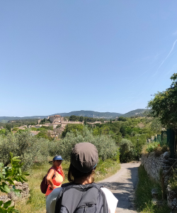 Balade commentée : à la rencontre des paysages vauclusiens - DE