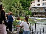 festivaldelasorgue-2026-ISSTOURISME-295.jpg_compressed.JPEG