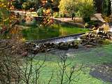 fdv-automne-ISSTOURISME-05.jpg_compressed.JPEG