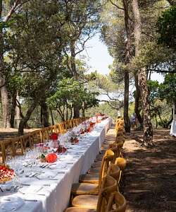 Les banquets du Géant de l’AOC Ventoux - DE