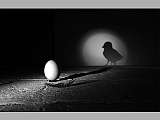 Exposition de photographies 