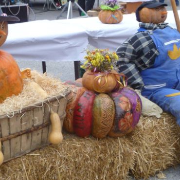 Fête de la Courge de Petit-Palais - DE