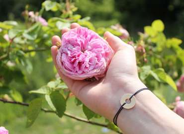 Jardins Rose des Arts - DE