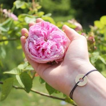 Jardins Rose des Arts - DE