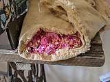 Pétales de rose
