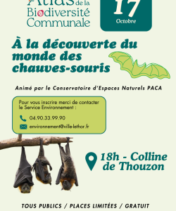 À la découverte du monde des chauves-souris - DE