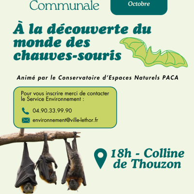 À la découverte du monde des chauves-souris - DE