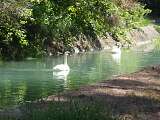 canal